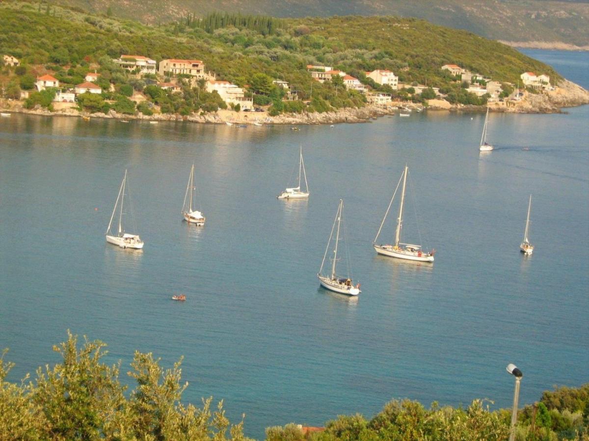 Apartments Mara Molunat Εξωτερικό φωτογραφία
